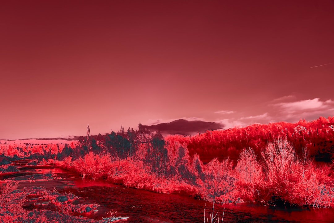 abstract nature landscape
